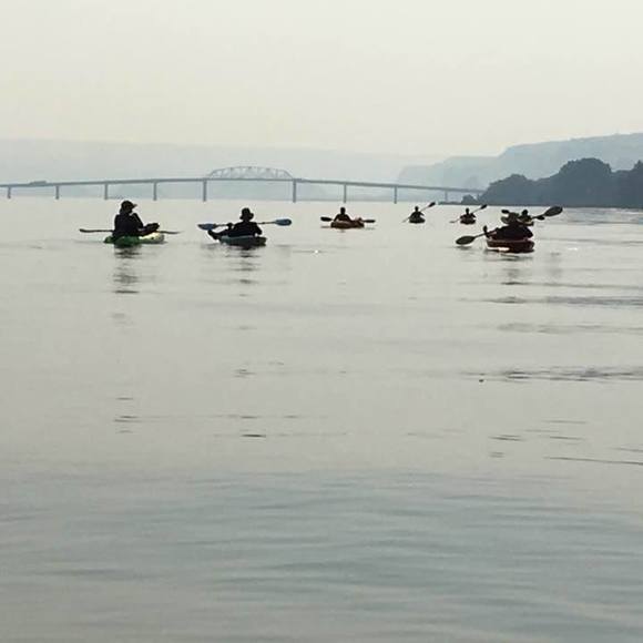 Meet your Posher, Sam - Picture 1 of 1